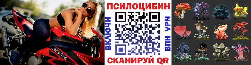 Псилоцибиновые грибы ЛСД  купить закладку  Сунжа 